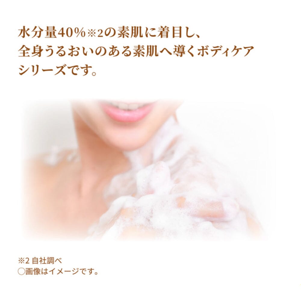 ViCREA &HONEY Rose Honey Melty Moist Gel Body Wash 500ml