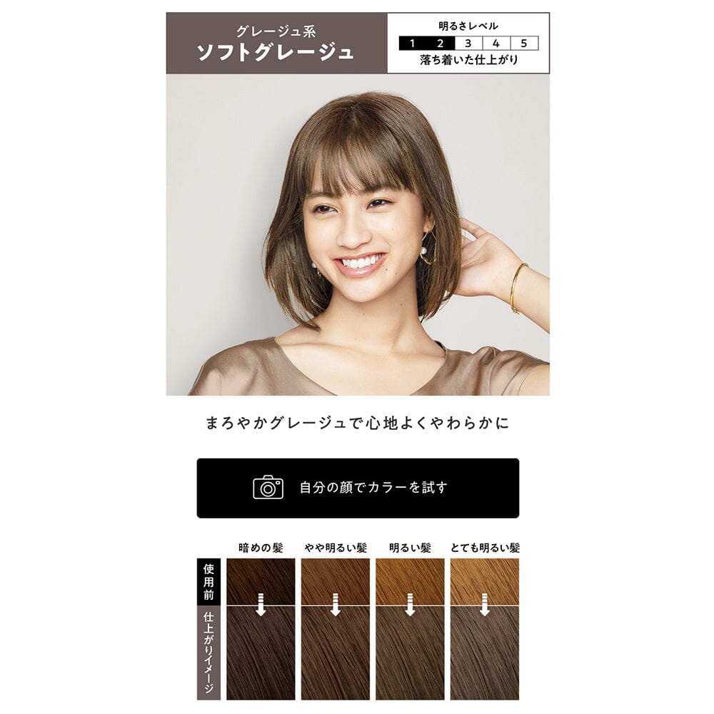 Kao Liese Prettia Bubble Hair Color Soft Greige