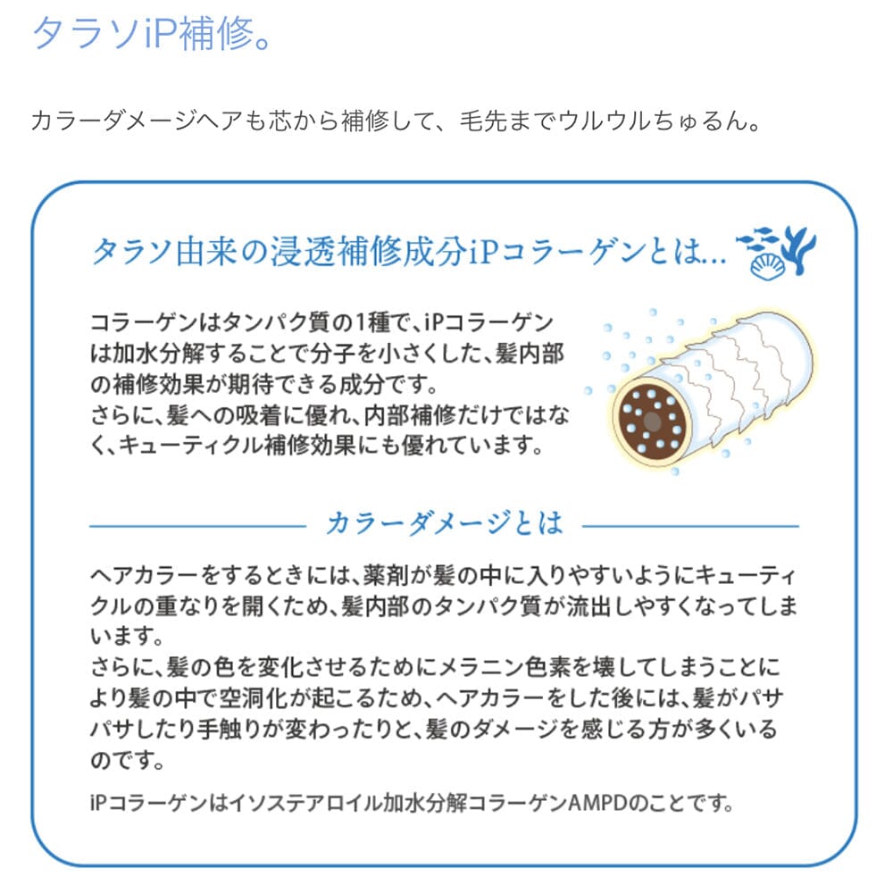 Kose Je l'aime iP Thalasso Repair Concentrate Hair Mask