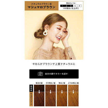 Kao Liese Bubble Hair Color Marshmallow Brown