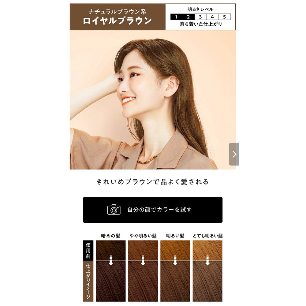 Kao Liese Prettia Bubble Hair Color Royal Brown