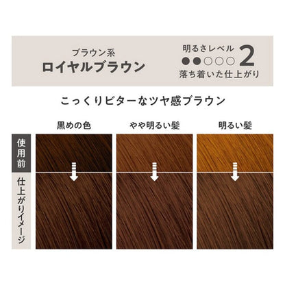 Leaves even naturally black hair with a transparent color. Foaming hair color in a rich mousse.