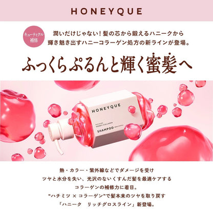 Bottle Works Honeyque Rich Gloss Shampoo promotional image featuring honey collagen formula for glossy hair