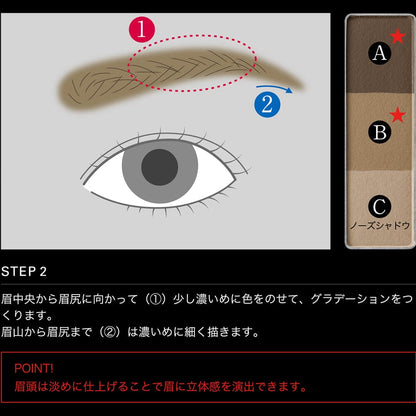 Kanebo Kate Designing eyebrow 3D Color Eyebrow Powder EX-5 Brown