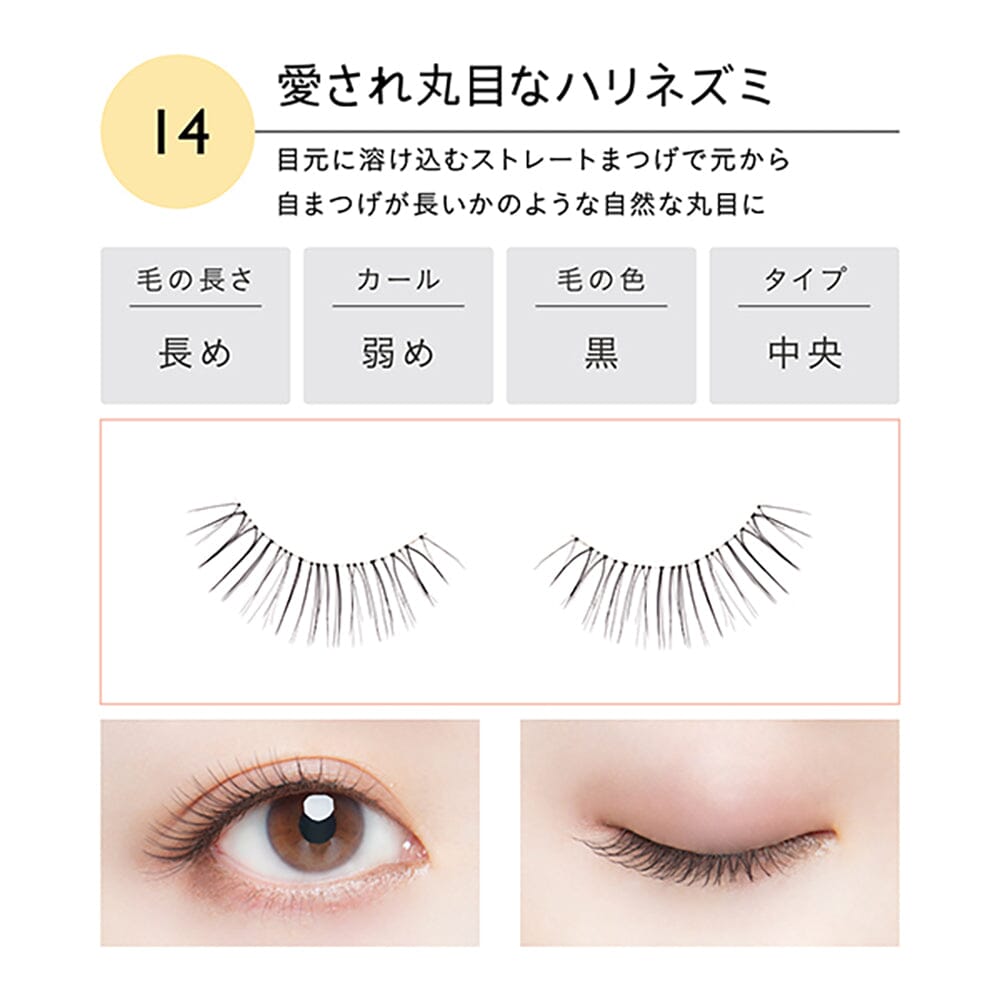 Koji Dolly Wink Salon Eye Lash No.14 Round Loveable Hedgehog