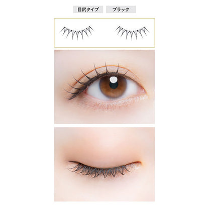 Koji Dolly Wink Salon Eye Lash No.24 Round Eye Raccoon Dog