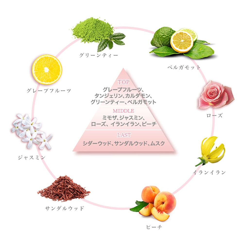 SPR Samurai Woman Fragrance Box Air freshener