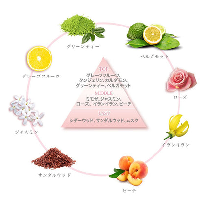 SPR Samurai Woman Fragrance Box Air freshener