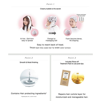Kao Liese Prettia Bubble Hair Color New York Ash