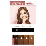 Kao Liese Prettia Bubble Hair Color Provence Rose