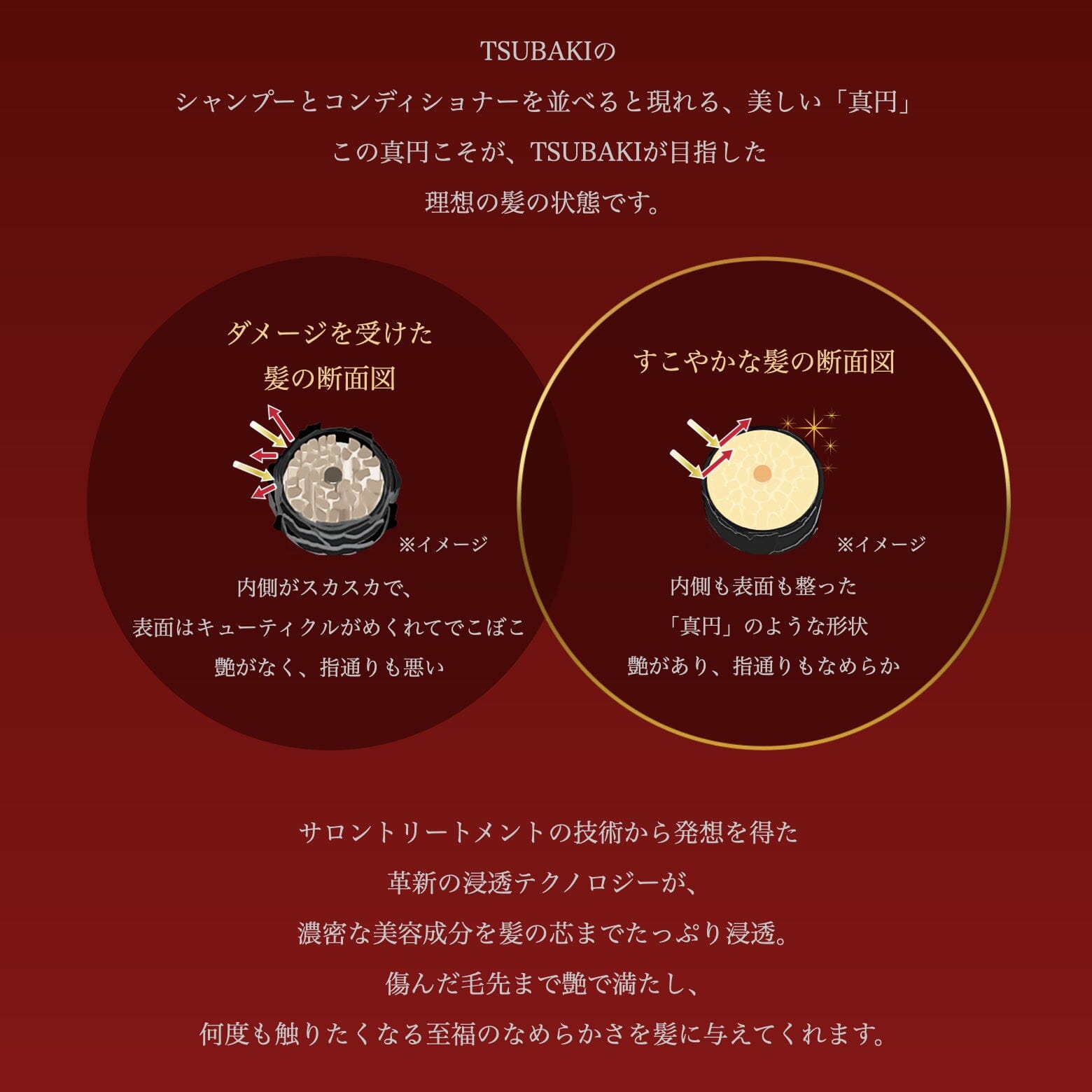 Shiseido Tsubaki Premium Moist Shampoo 490ml